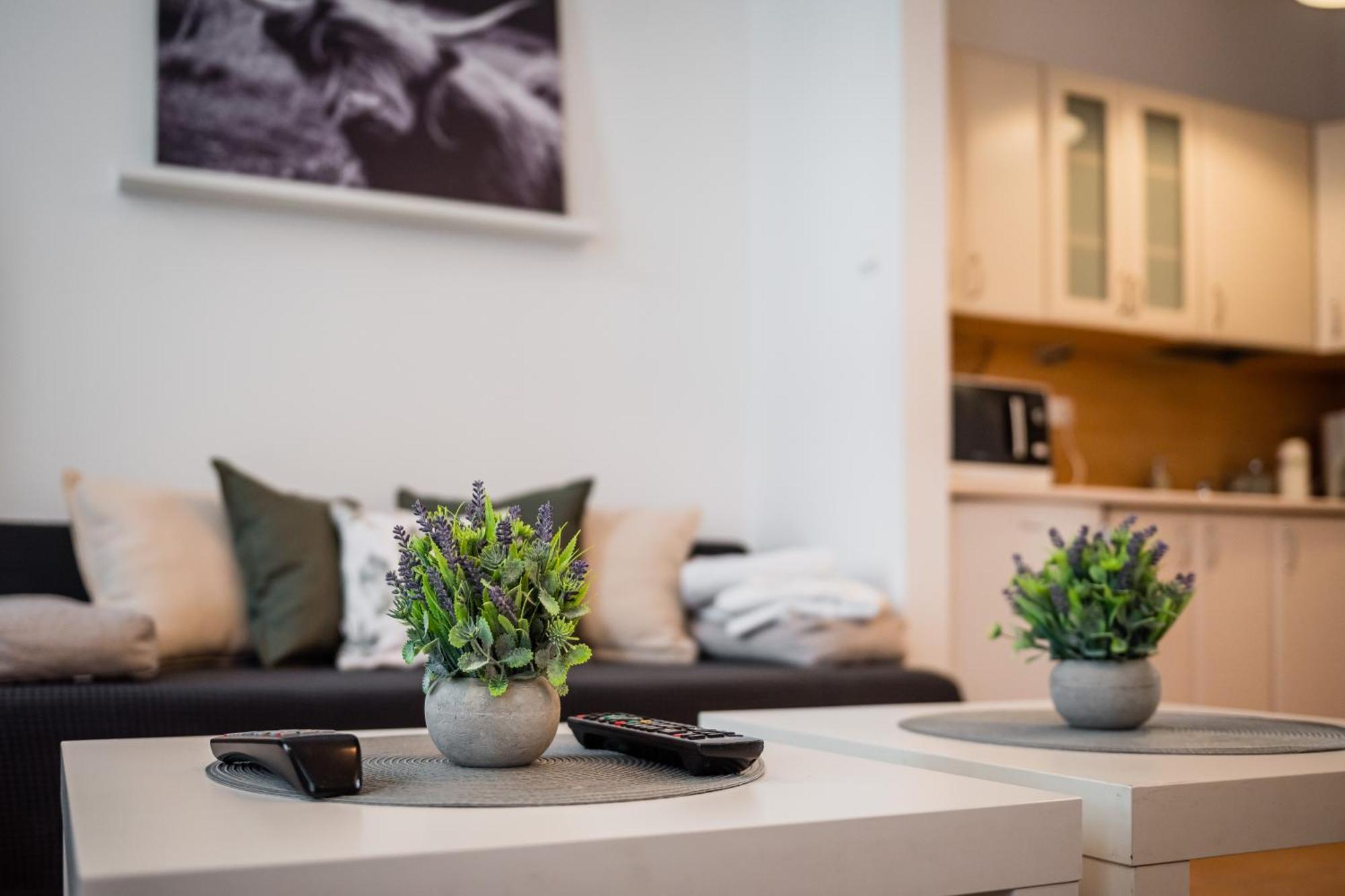 Apartment Krakowska City Center Wawelofts 外观 照片